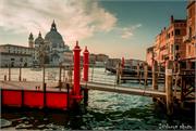 VENICE21 (4)